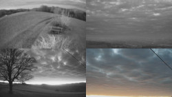 Sdružený snímek Bludný