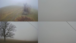 Sdružený snímek Bludný