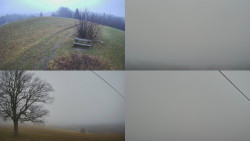 Sdružený snímek Bludný