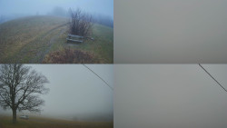 Sdružený snímek Bludný