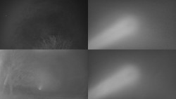 Sdružený snímek Bludný