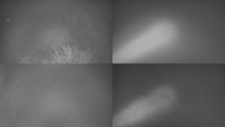 Sdružený snímek Bludný