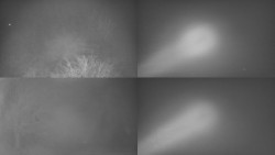 Sdružený snímek Bludný