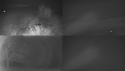 Sdružený snímek Bludný