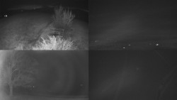 Sdružený snímek Bludný