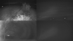 Sdružený snímek Bludný