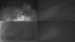 Sdružený snímek Bludný