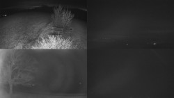 Sdružený snímek Bludný