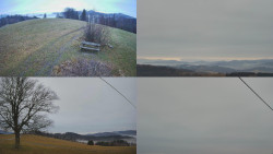 Sdružený snímek Bludný