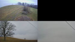 Sdružený snímek Bludný