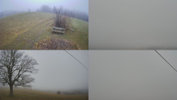 Sdružený snímek Bludný