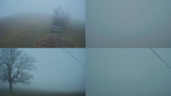 Sdružený snímek Bludný