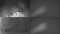 Sdružený snímek Bludný