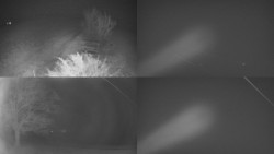 Sdružený snímek Bludný