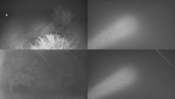 Sdružený snímek Bludný