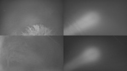 Sdružený snímek Bludný