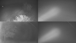 Sdružený snímek Bludný