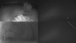 Sdružený snímek Bludný