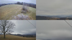 Sdružený snímek Bludný