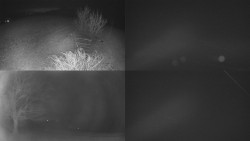 Sdružený snímek Bludný