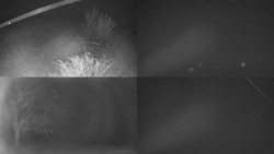 Sdružený snímek Bludný