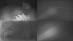 Sdružený snímek Bludný