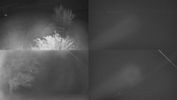 Sdružený snímek Bludný