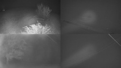 Sdružený snímek Bludný