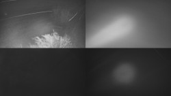 Sdružený snímek Bludný