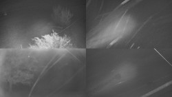 Sdružený snímek Bludný