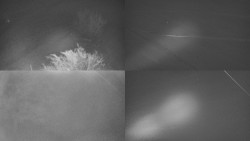 Sdružený snímek Bludný