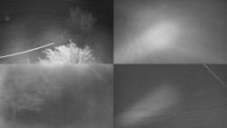 Sdružený snímek Bludný