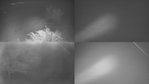 Bludný - Rajnochovice Troják - Sdružený snímek Bludný - 25.12.2025 v 06:01 Bludný - Rajnochovice Troják - Sdružený snímek Bludný - 25.12.2025 v 06:01