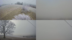 Sdružený snímek Bludný