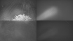 Sdružený snímek Bludný