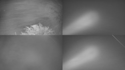 Sdružený snímek Bludný