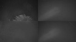 Sdružený snímek Bludný