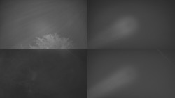 Sdružený snímek Bludný