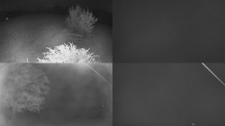 Sdružený snímek Bludný