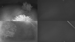 Sdružený snímek Bludný