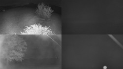 Sdružený snímek Bludný