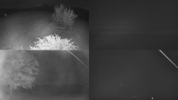 Sdružený snímek Bludný