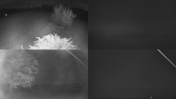 Sdružený snímek Bludný