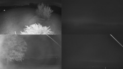 Sdružený snímek Bludný