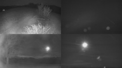 Sdružený snímek Bludný