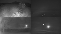 Sdružený snímek Bludný