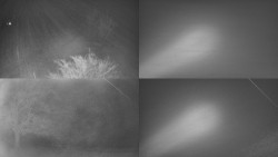 Sdružený snímek Bludný