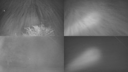 Sdružený snímek Bludný