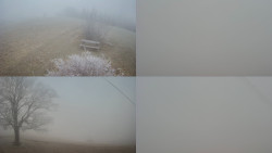 Sdružený snímek Bludný