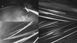 Sdružený snímek Bludný